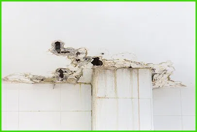 Miami Beach Water Damage Miami Beach, FL 786-345-7215 - v2-county-img2